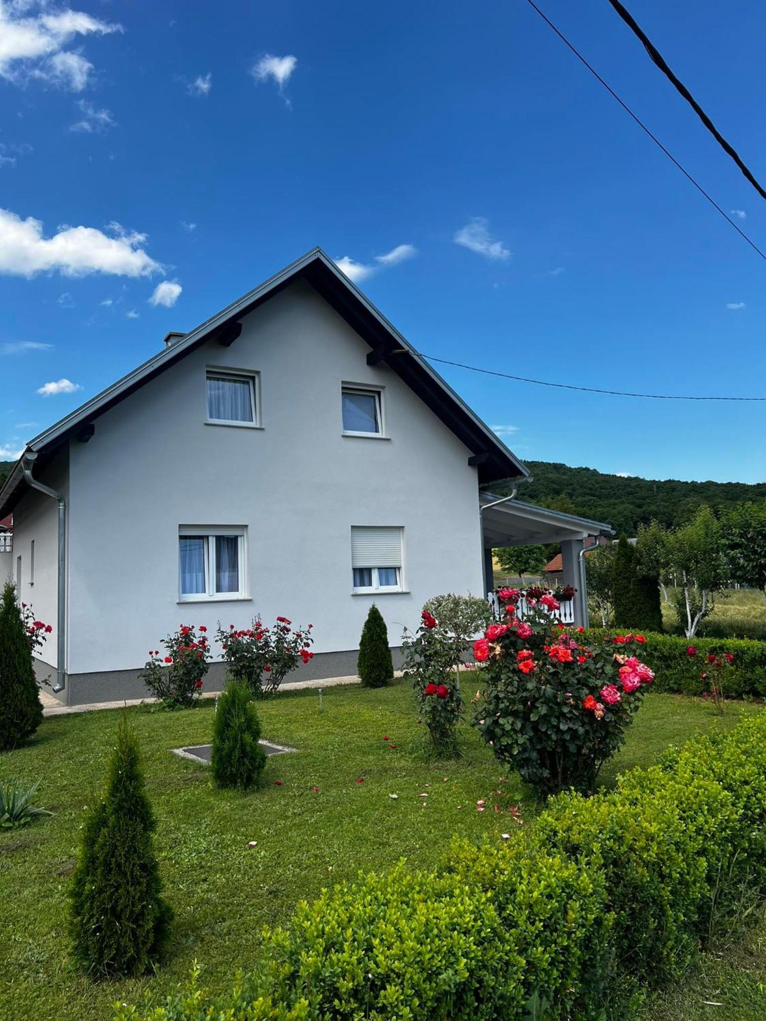 Appartement Apartman Matej à Otočac Extérieur photo